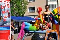 CSD Demo   081